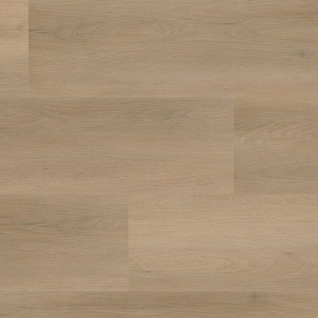 Ambiant Sentima Strook Beige Click