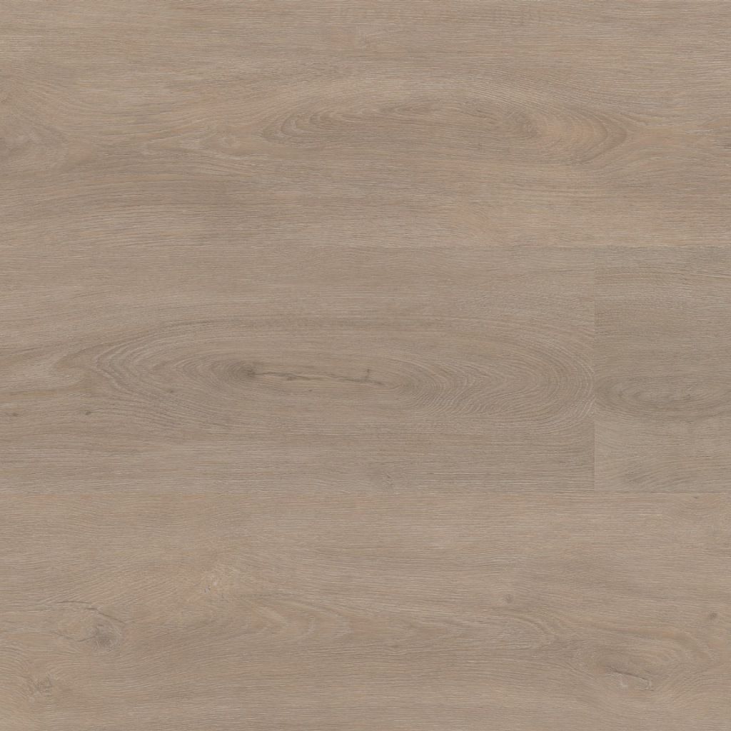 Ambiant Robusto Strook Light Oak Click