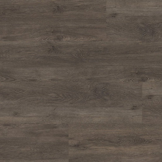Ambiant Supremo Strook Dark Grey Click