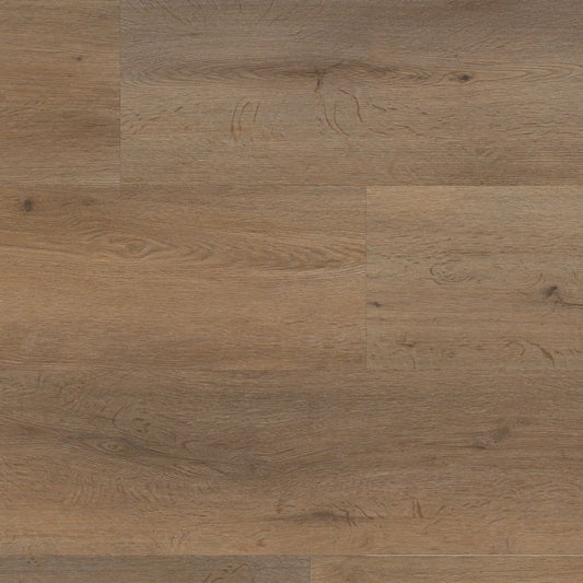 Ambiant Vivero Strook Smoky Dryback